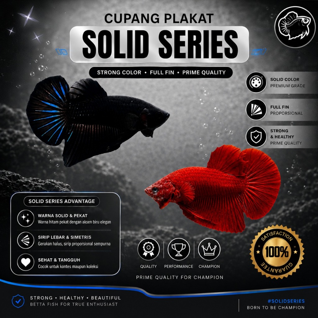Cupang HMPK Super Black Super Red Solid Premium | La'Betta