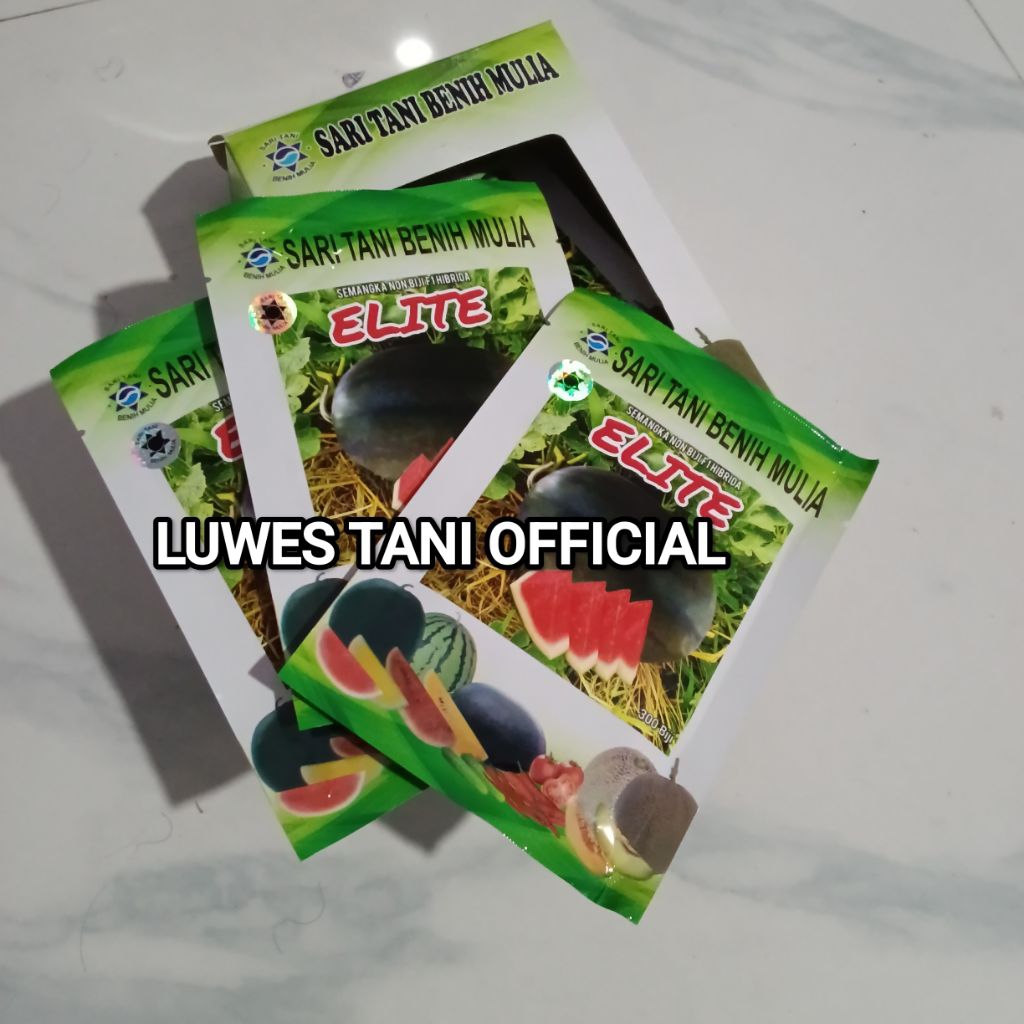 Benih Bibit Semangka Non biji Elite F1, Tipe OVAL lonjong : Mirip 99% JUVE, PRIME (Berbobot Bisa 6-1