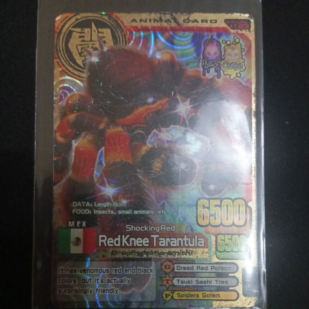 Red Knee Tarantula Animal Kaiser Ori (Defect/cacat)