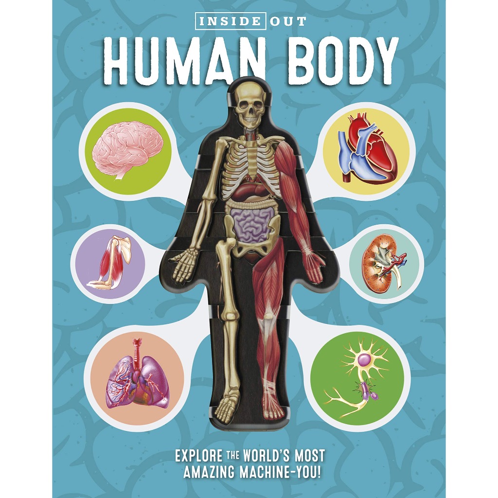 Inside Out Human Body