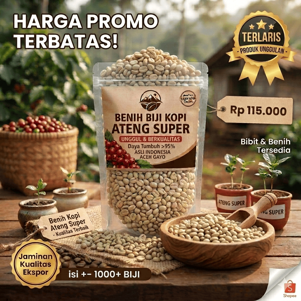 1000 BIJI BIBIT KOPI ARABIKA ATENG SUPER