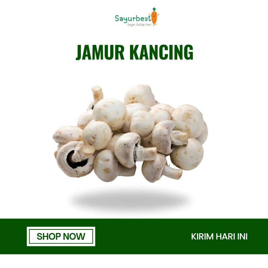 Jamur Kancing Segar