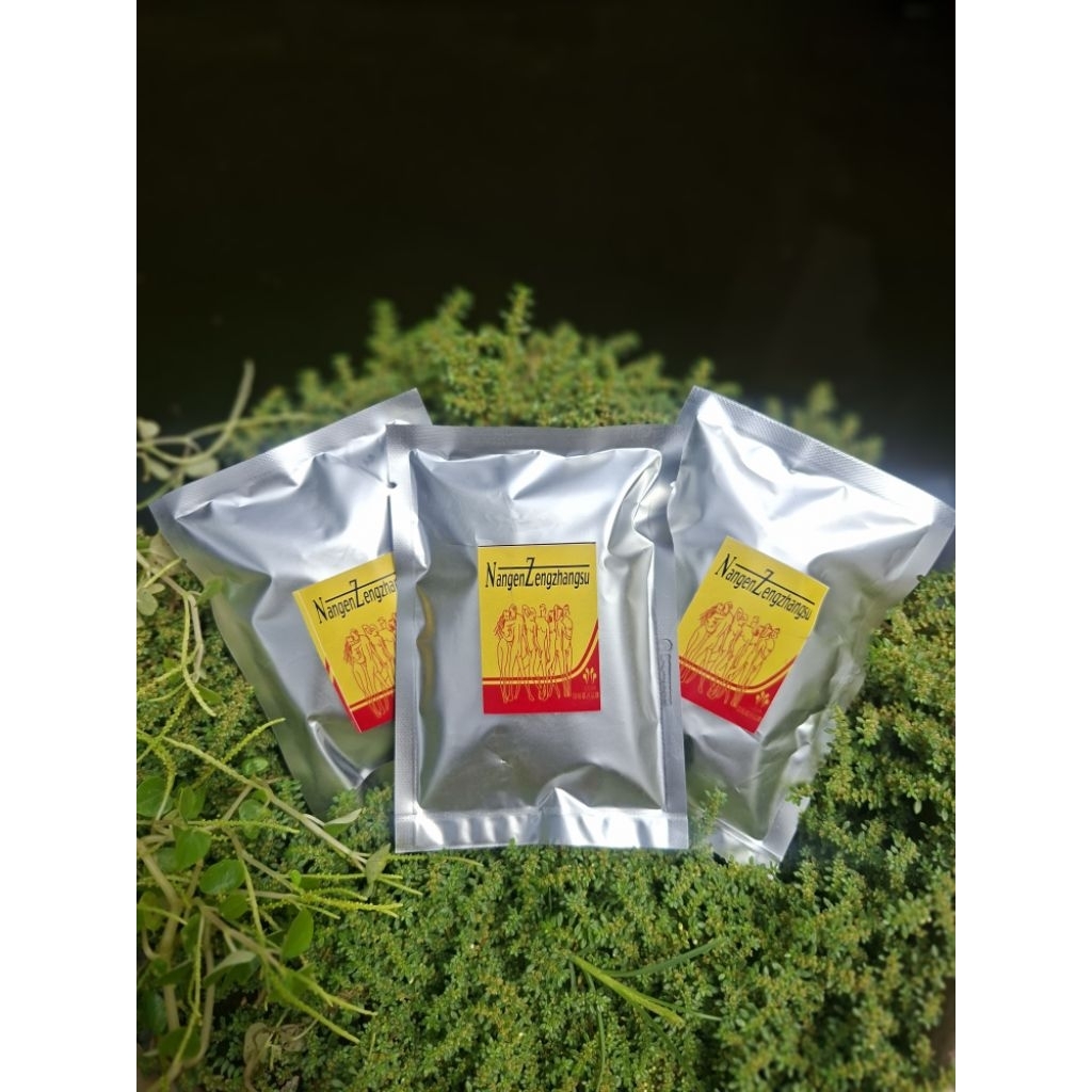 nangen Zengzhangsu original kemasan baru - 1 pack isi 4 sachet