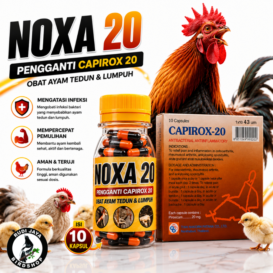 NOXA 20 PENGGANTI CAPIROX 20 OBAT AYAM SAKIT TEDUN KAKI LUMPUH KAKI BENGKAK HARGA JAUH LEBIH MURAH