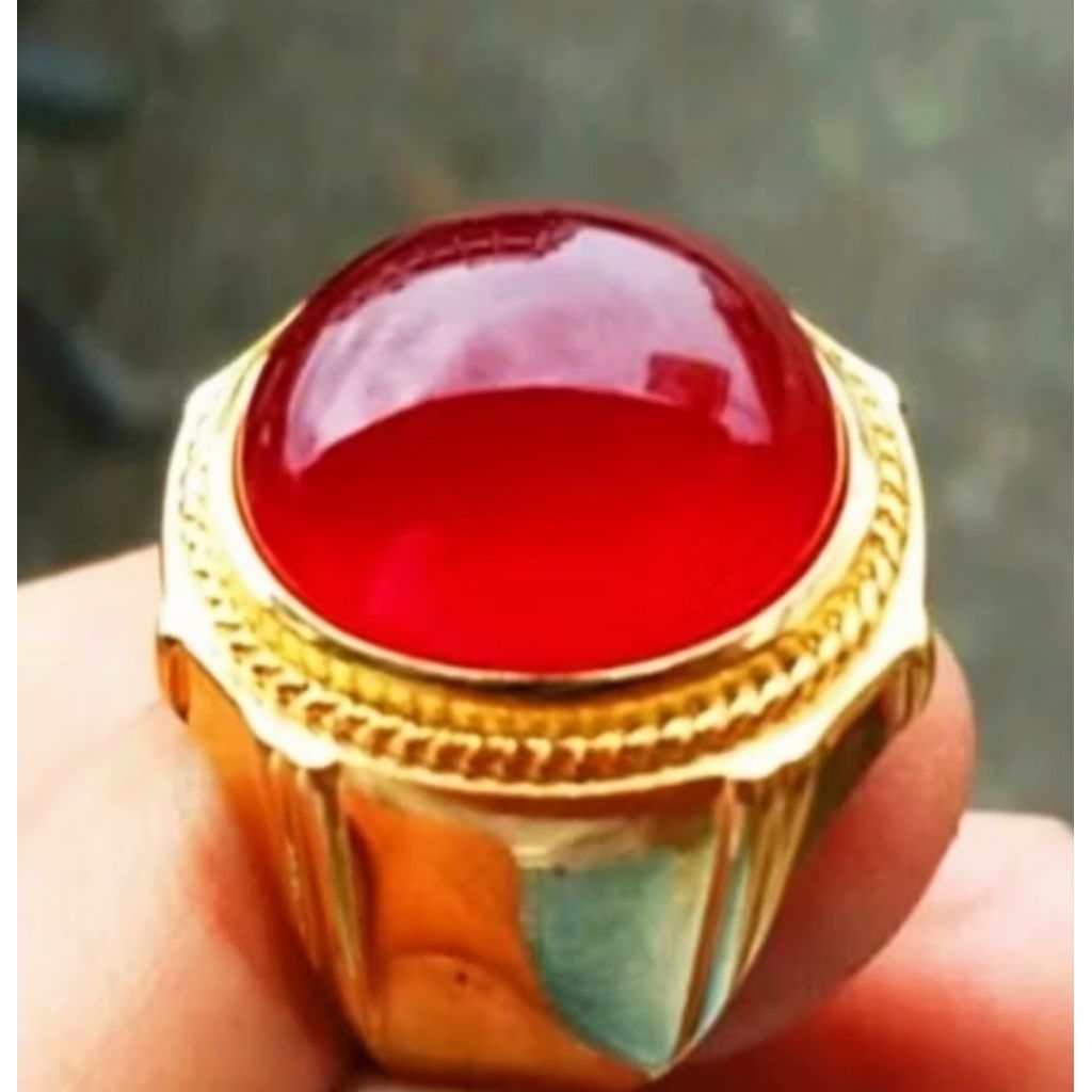 Natural Red Obi bacan obi merah size kantoran mumbul