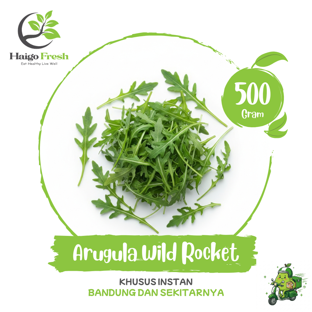 Daun Arugula Rocket Rucola 500 Gr | INSTAN Bandung | Haigo Fresh