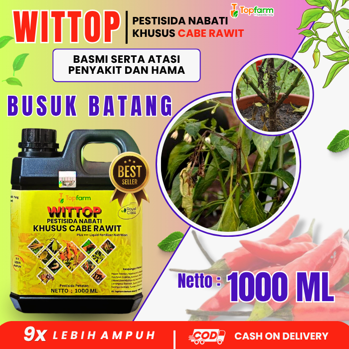 Obat Busuk Batang Cabe / Obat Busuk Pangkal Batang Cabe / Pestisida Pengendali Penyakit Pada Cabe / 