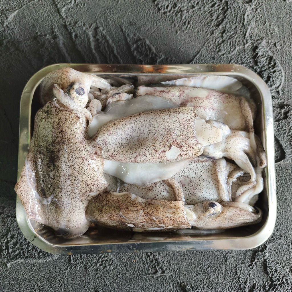 Balakutak Sotong Besar Segar | 1kg | minantuseafood