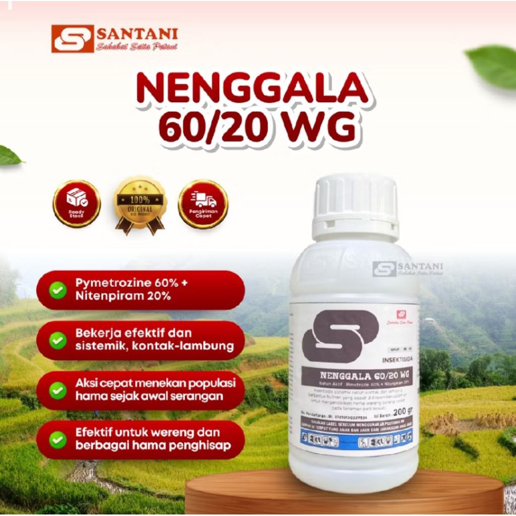 Insektisida NENGGALA 60/20 WG Bahan Aktif: Pymetrozine + Nitenpiram Kombinasi 2 Bahan Aktif Ampuh Ba