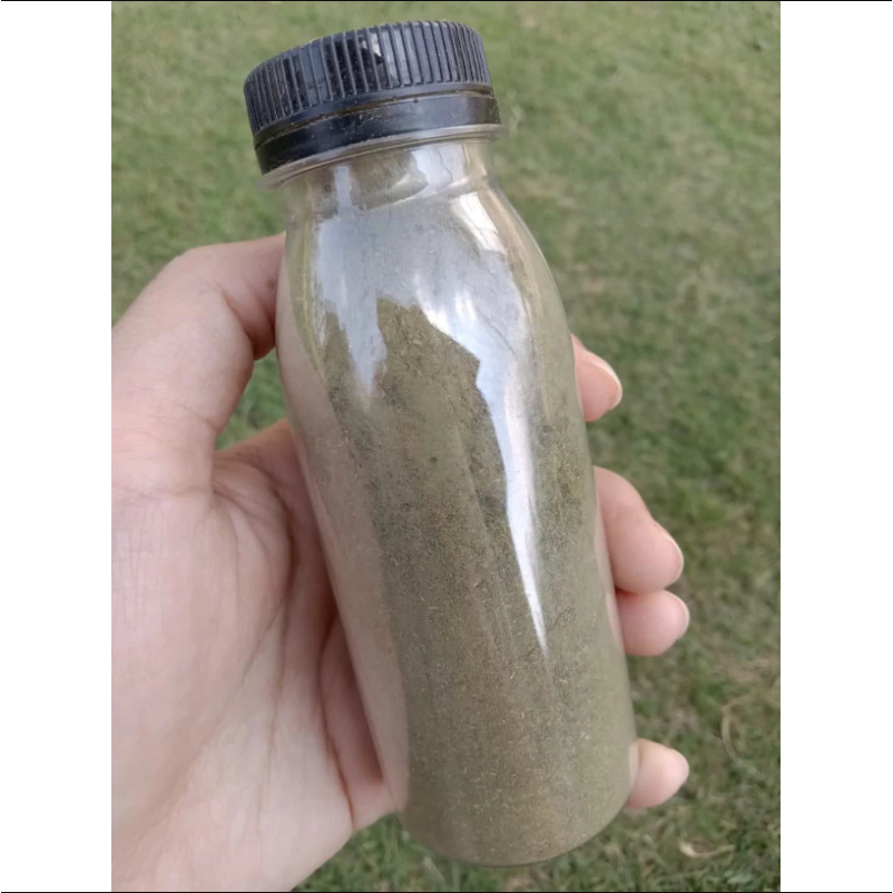 25 Gram Murni Bubuk Daun Putri Malu / Tepung Daun Putri Malu / Serbuk Daun Putri Malu Herbal Alami