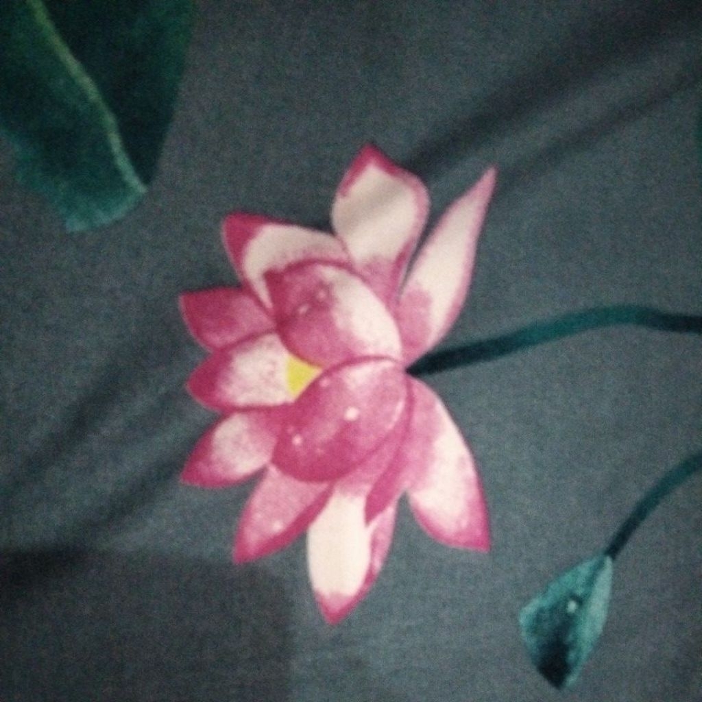 kkn__
