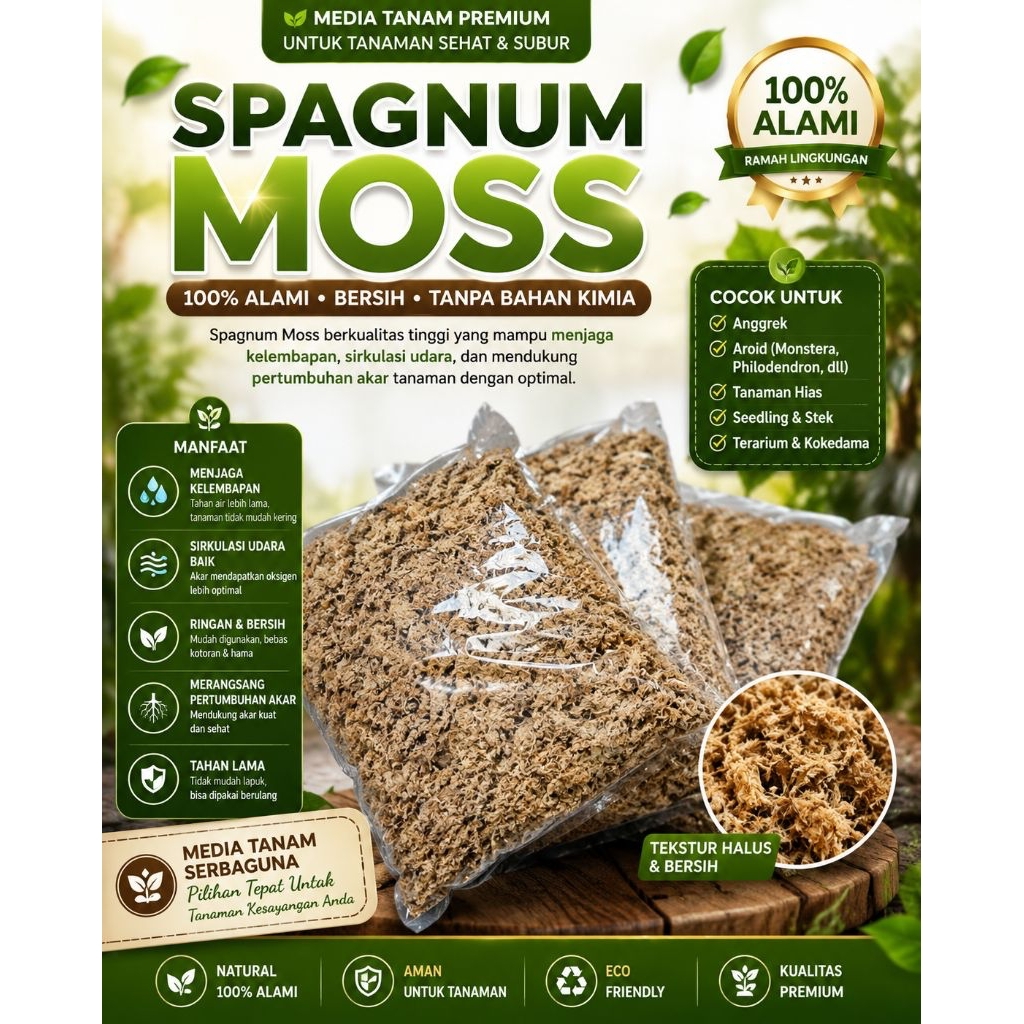 spagnum moss moss putih media tanam