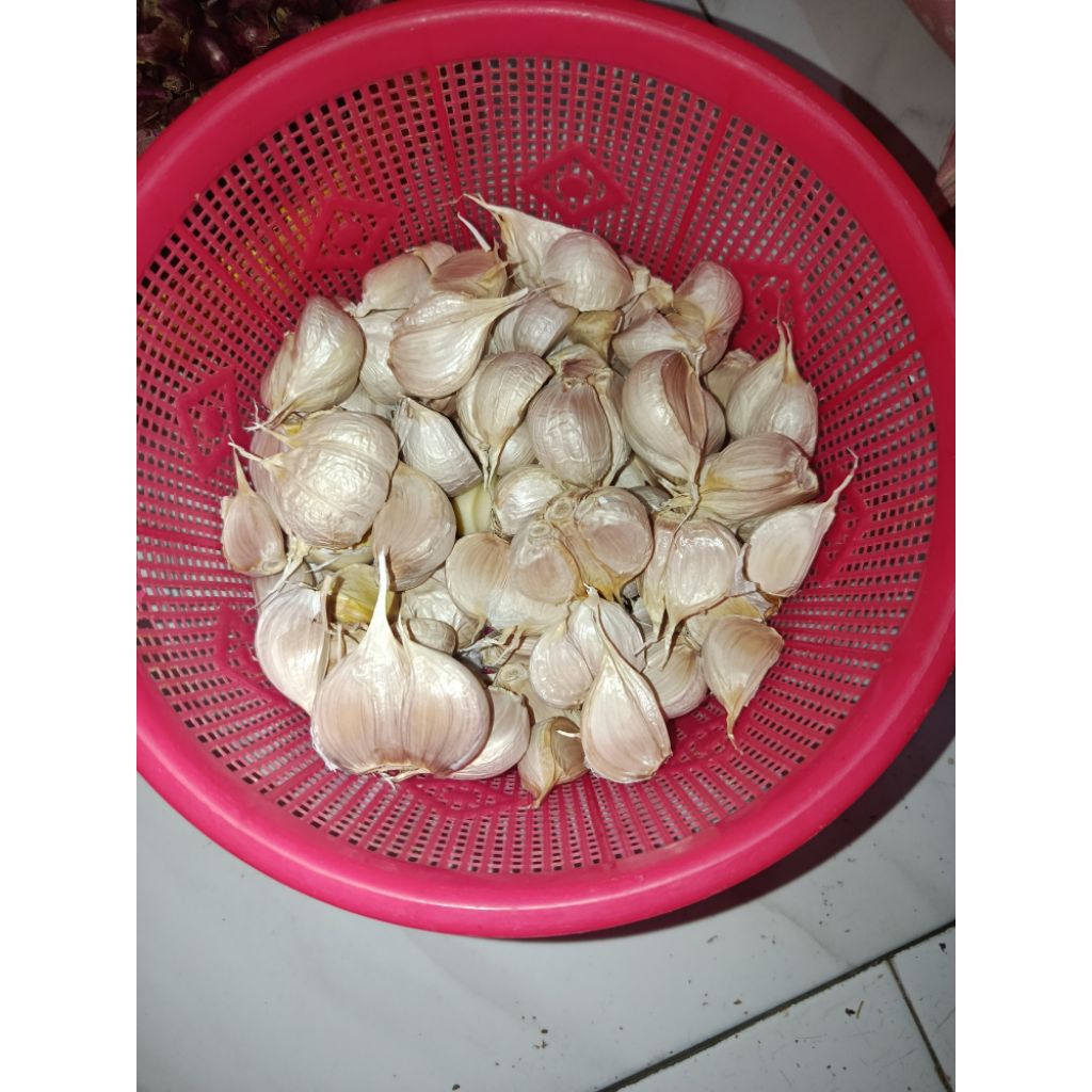 Bawang Putih Kating Bawang Putih Kating Bersih
