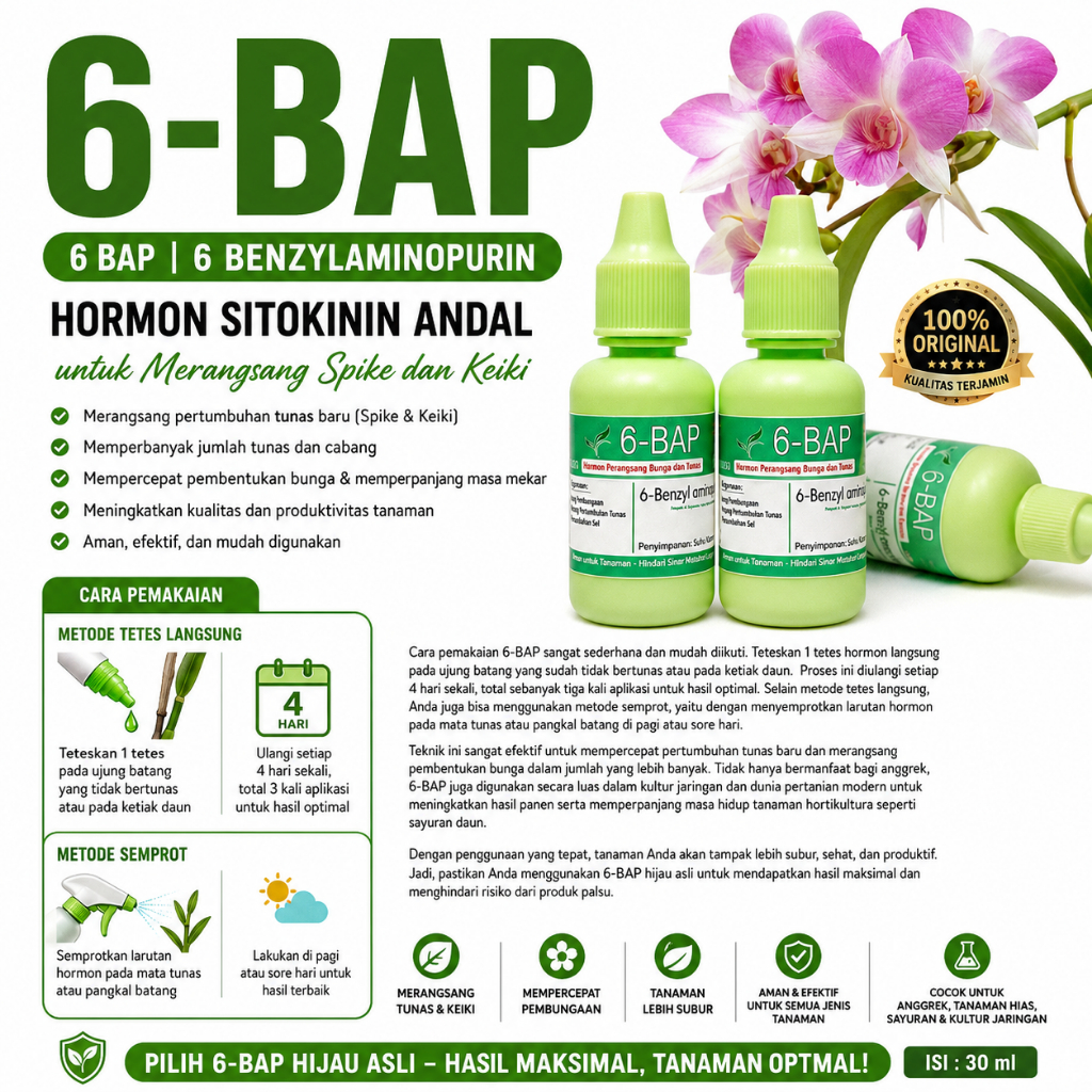6-BAP | 6 BAP | 6 benzylaminopurin : Hormon Sitokinin Andal untuk Merangsang Spike dan Keiki