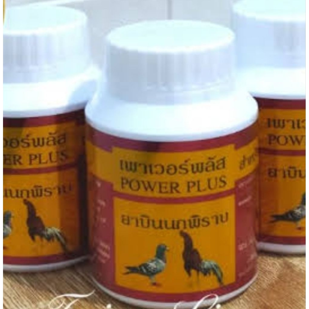 Power plus obat ayam merpati doping