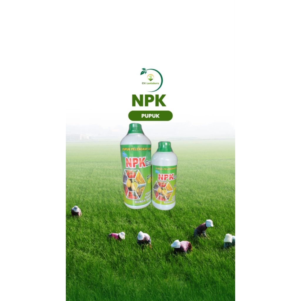 BIO NPK