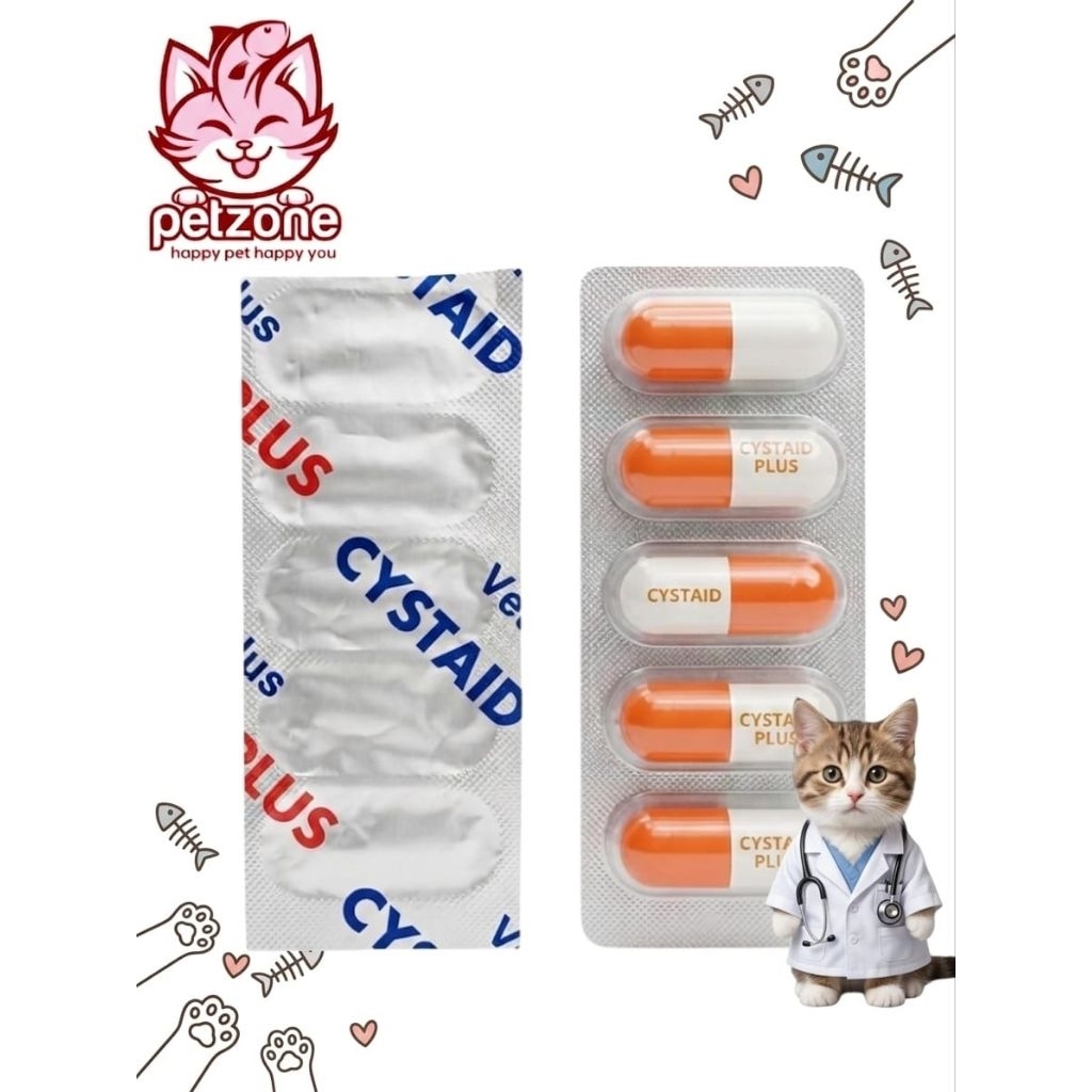 CYSTAID PLUS URINARY
