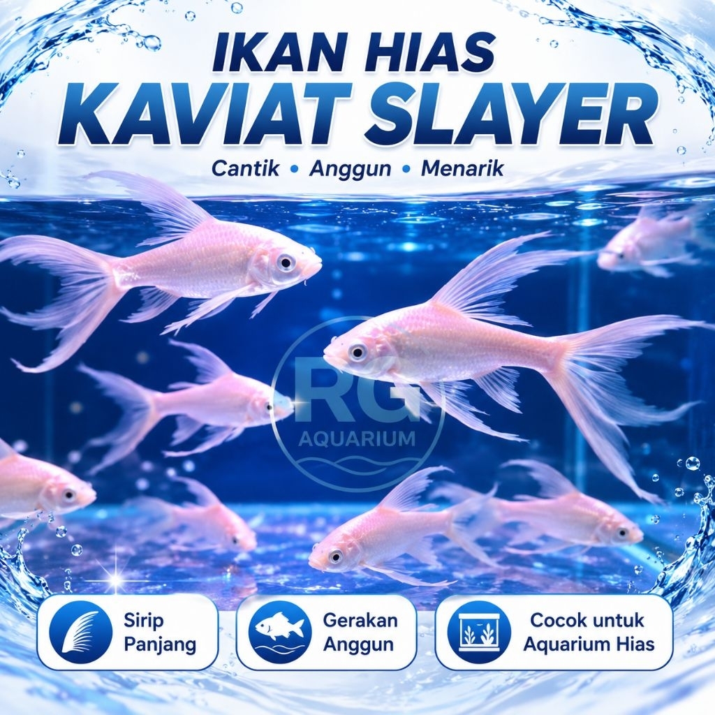 Ikan hias kaviat slayer