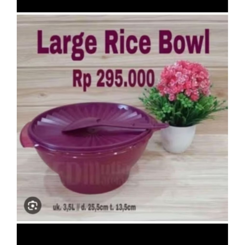Tupperware Rice bowl