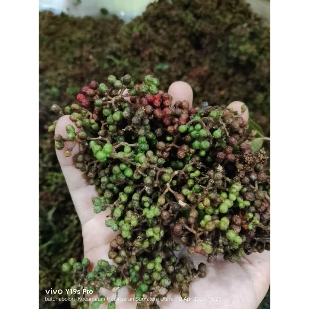 ANDALIMAN PARSOBURAN 1000Gram (1Kg) Dijamin Fresh dalm Aqua