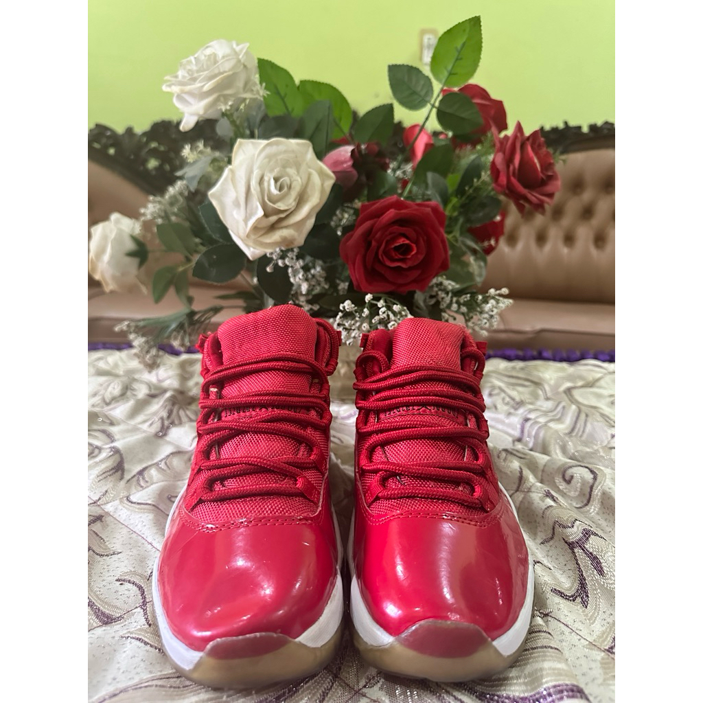 Jordan Retro 11