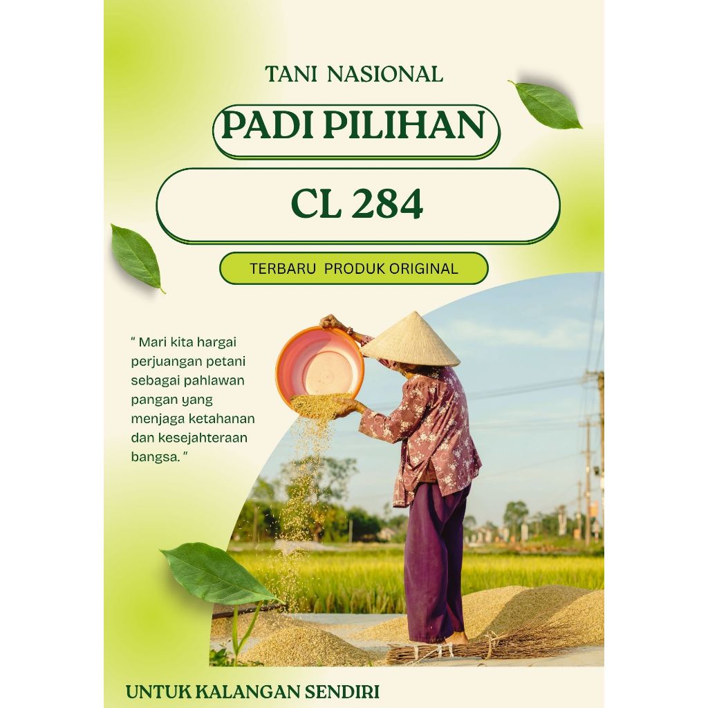 PADI CL-284 KEMASAN 1 KG