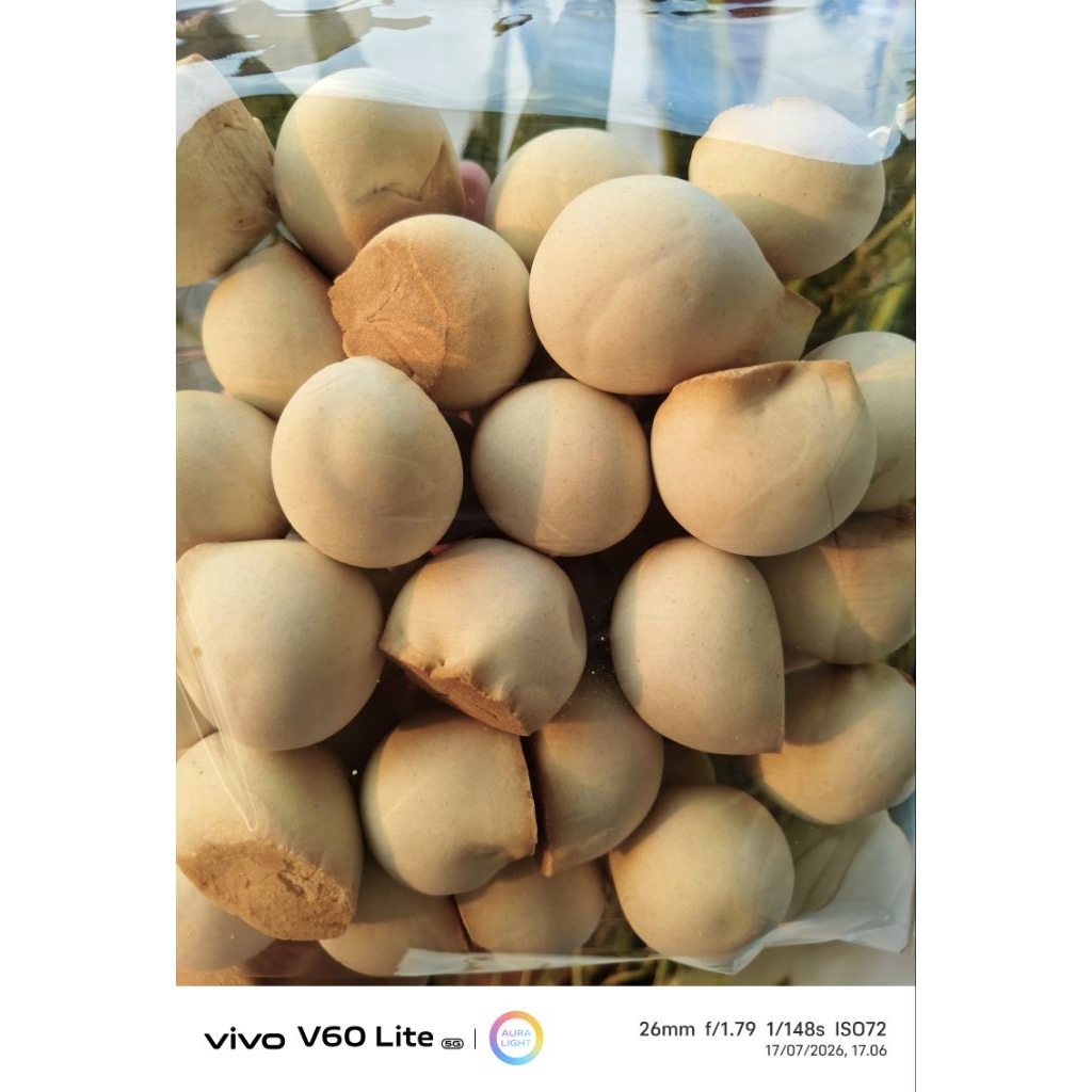 Kue Nopia Mino gula jawa 1kg