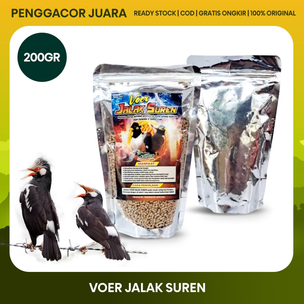 Voer Jalak Suren 200g Pakan Burung Jalak Kebo Nias Putih Harian Protein Original