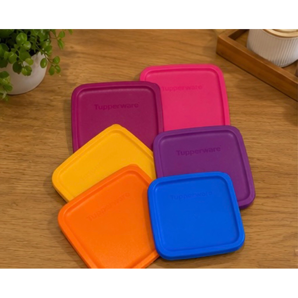 Tutup Summer Tupperware