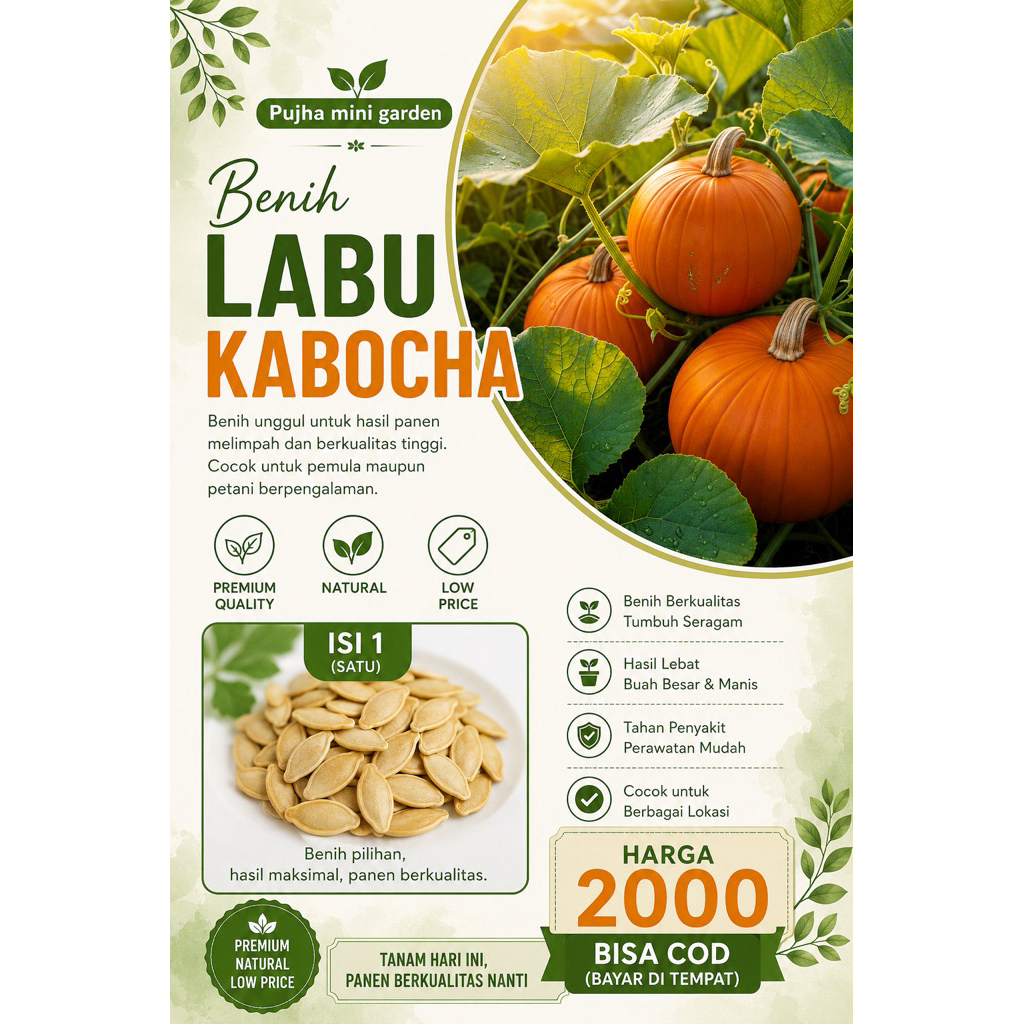 Benih labu kabocha isi 1