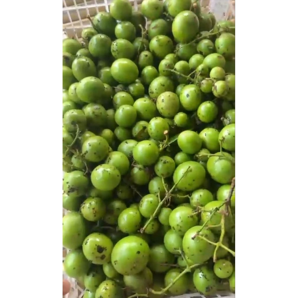 buah gandaria muda 250g