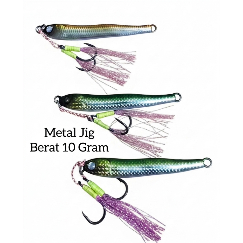 Micro Jig 10 gram