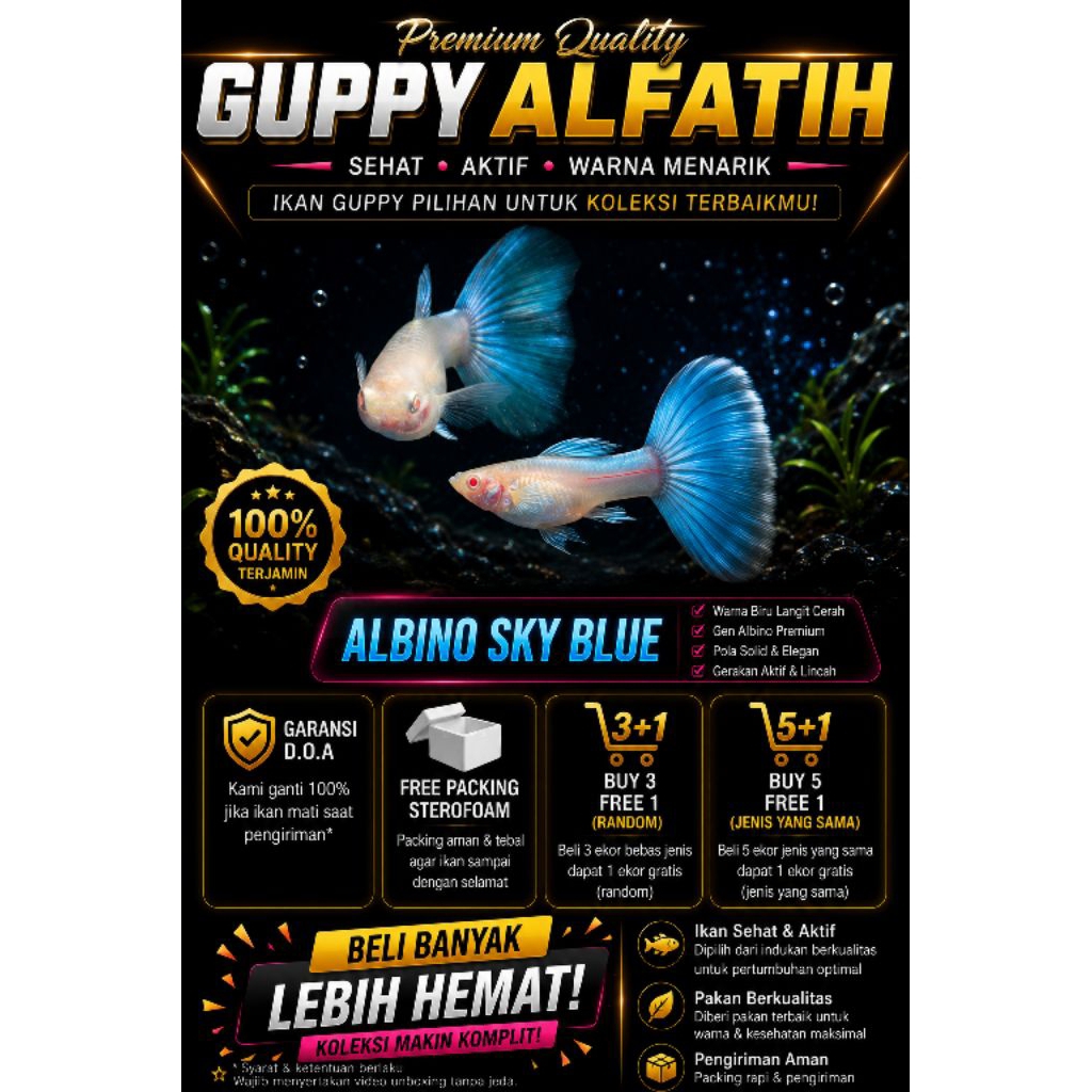STIKER GUPPY ALBINO SKY BLUE / TOPAZ