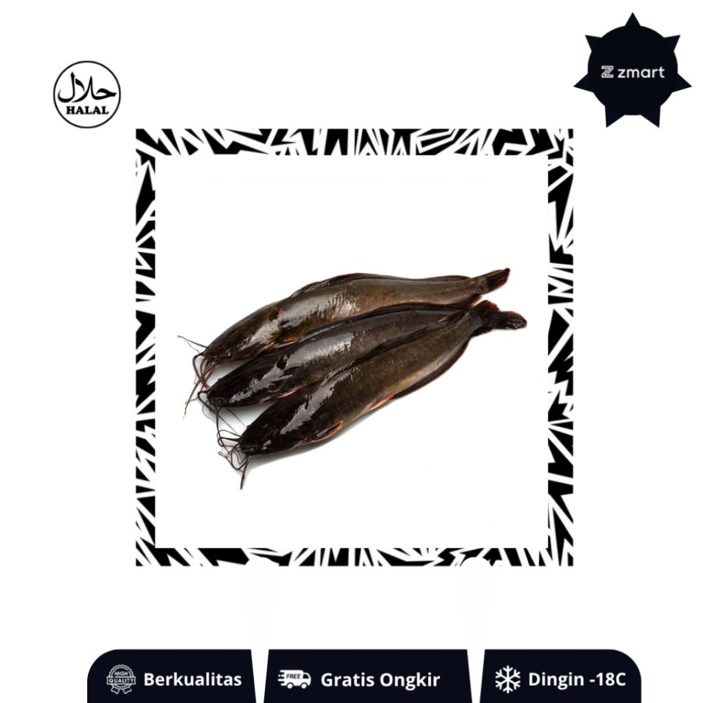 Ikan Lele Berkualitas Segar Pengiriman Terdekat - Zmart Food