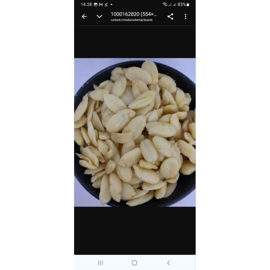 kacang kenari-1kg