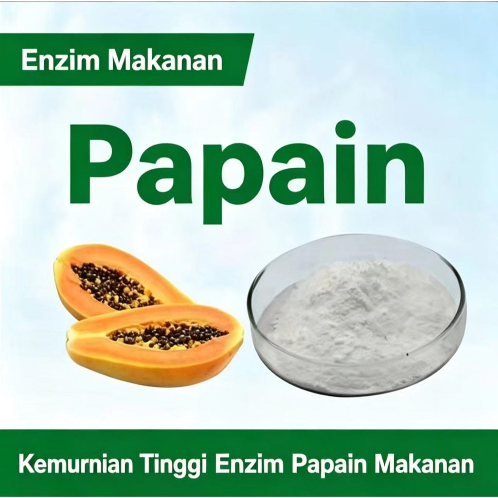 Papain Enzyme 500g 1000g/ pepaya enzyme - bubuk papain powder / bubuk getah pepaya