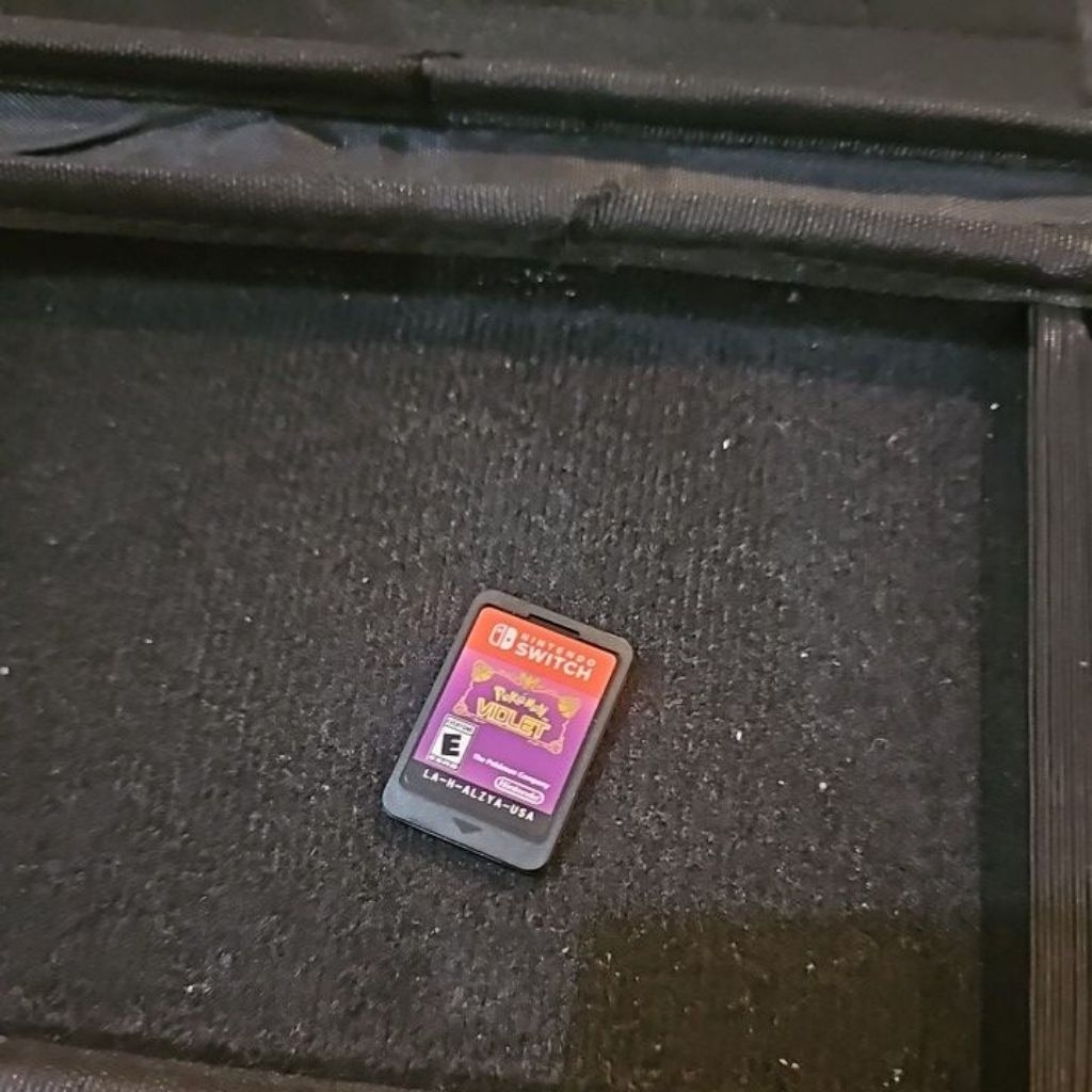 Pokemon Violet Switch