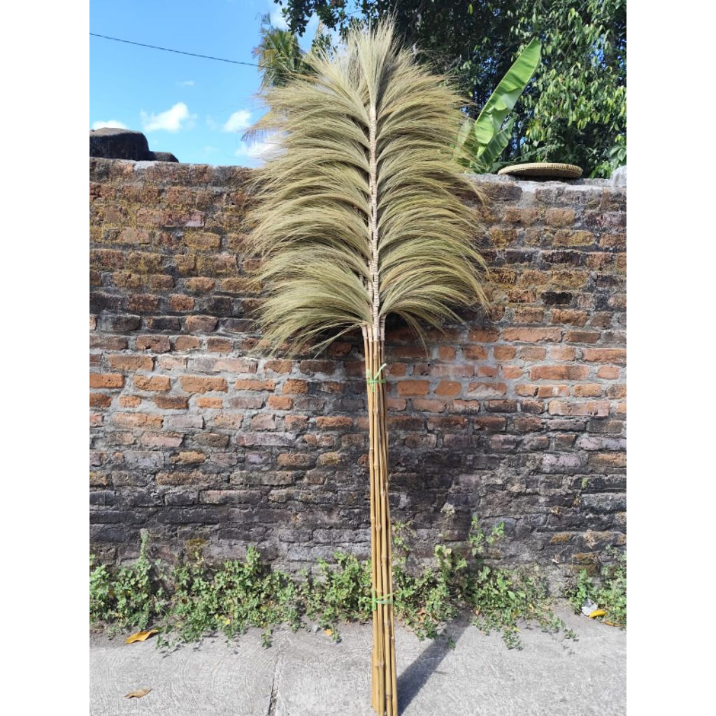 Home Decor Rayung Kering Rayung Pendek Rayung Natural Rayung Rustic Dekorasi Rustic Rayung Pampas/Ha