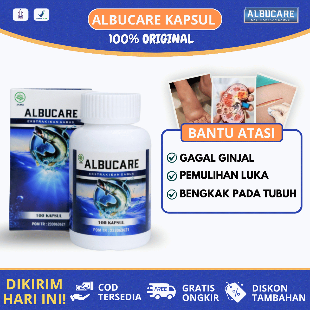 ALBUCARE Kapsul Ekstrak Ikan Gabus Asli Sumber Albumin untuk Pasien Gagal Ginjal Hemodialisis yang K