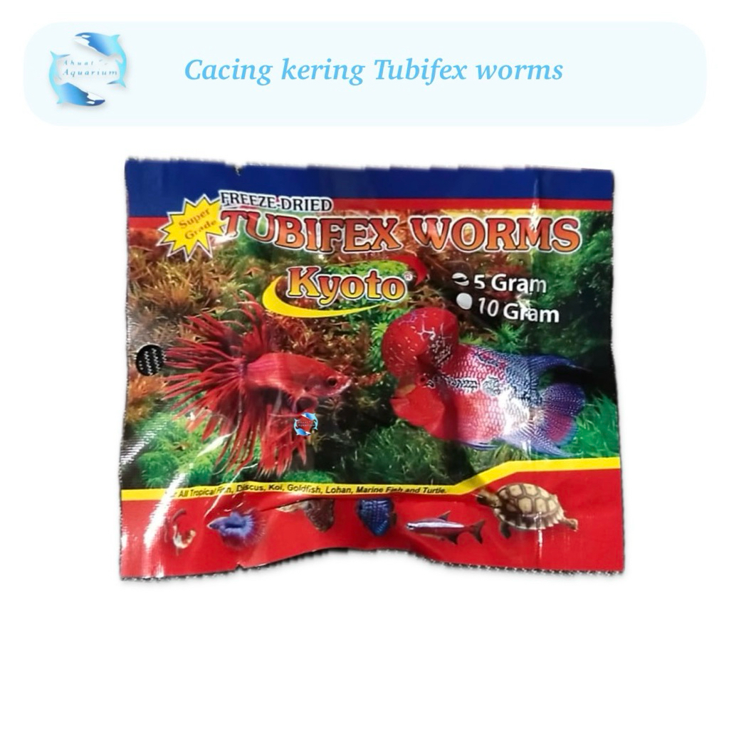 cacing kering tubifex worms Kyoto