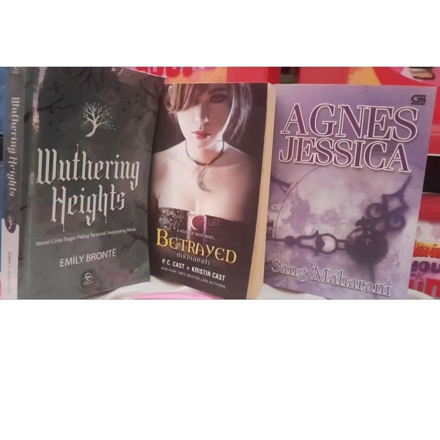 Buku novel terjemahan best seller PRELOVED