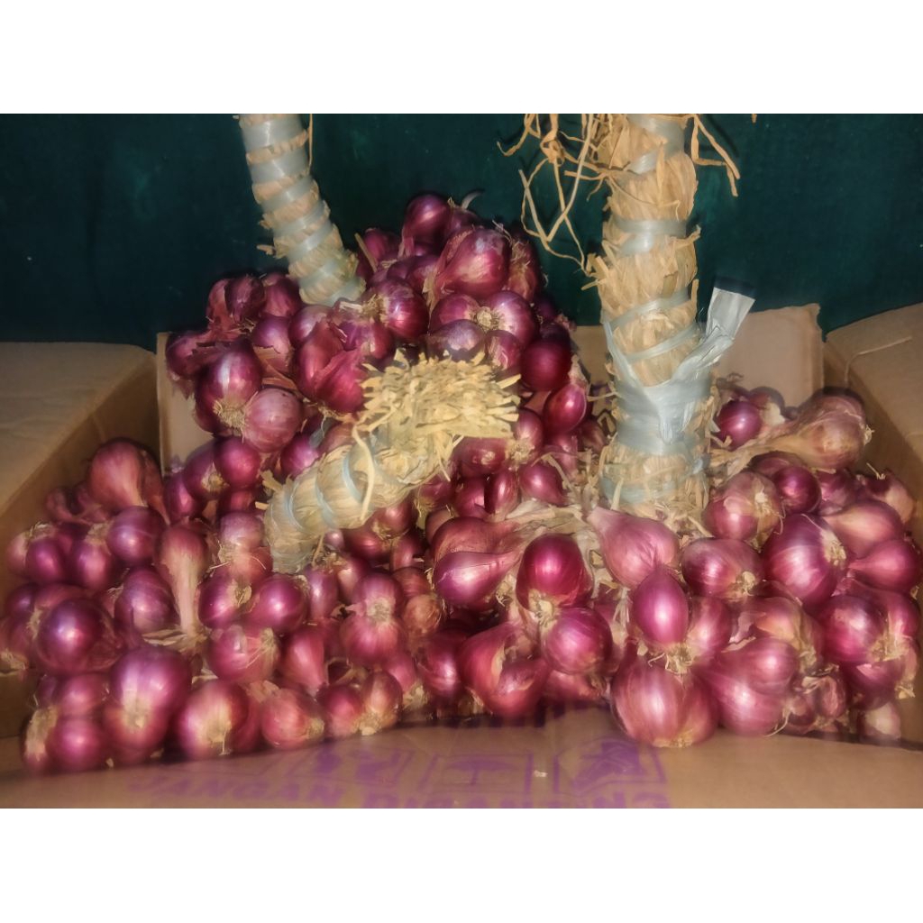 (Instant Paiton) Bawang merah untingan Probolinggo