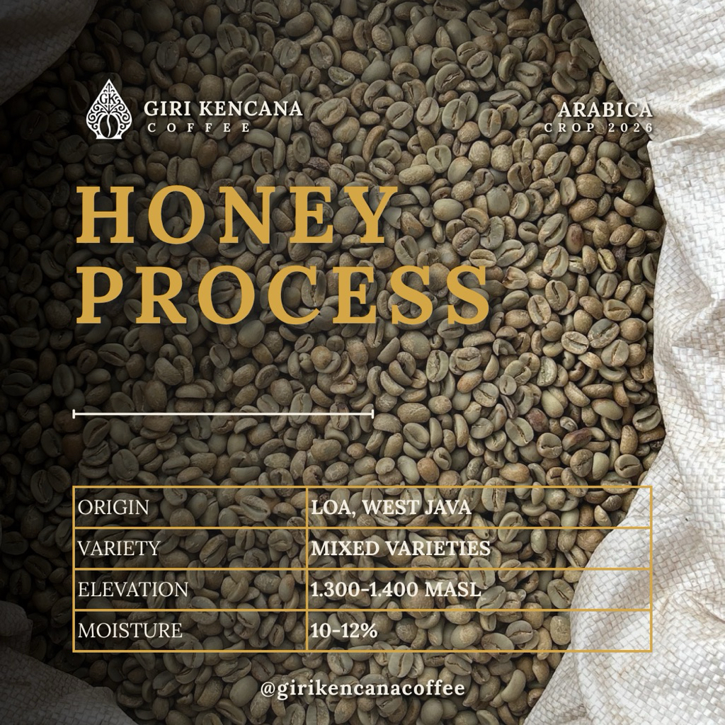 Green Bean Arabica Honey Process Java Preanger – Coffee Bean Loa, Jawa Barat Specialty Grade – Biji 