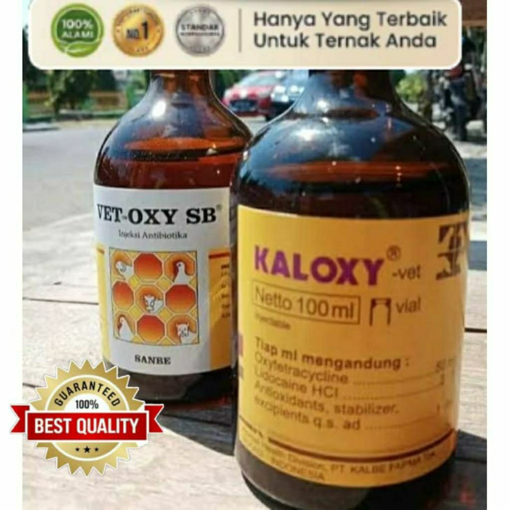 VET-OXY SB 100ml  / vetoxy obat antibiotik anti infeksi sapi, kambing, anjing, kucing