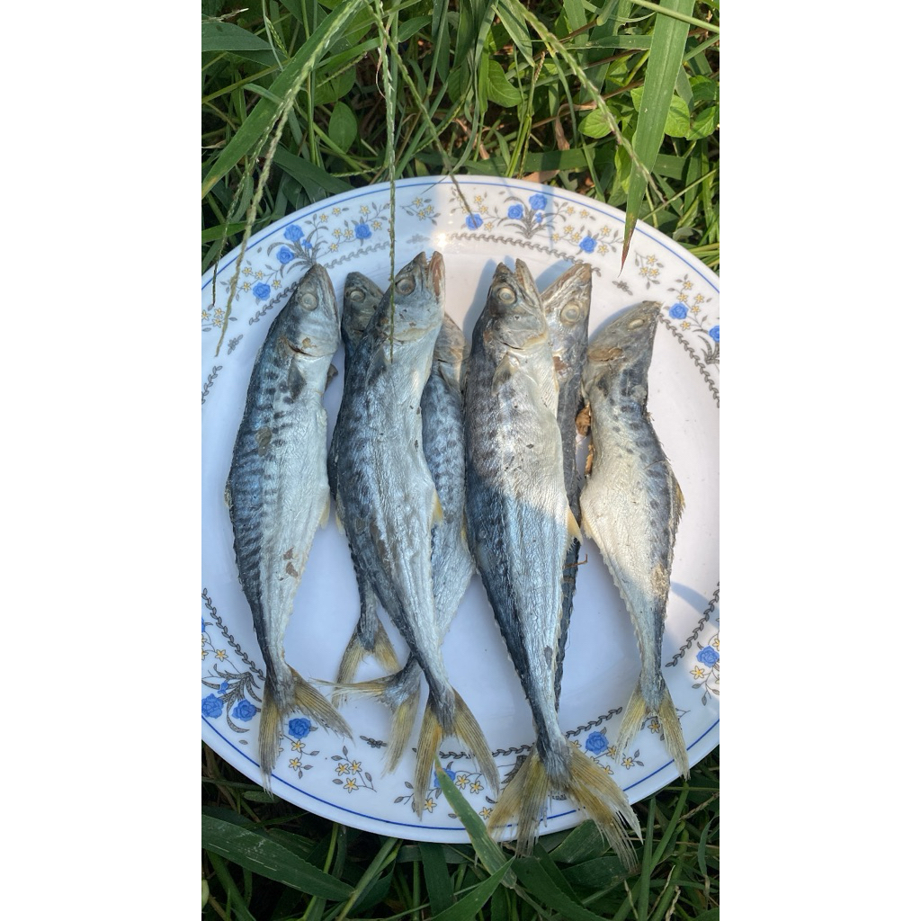 ikan asin tenggiri