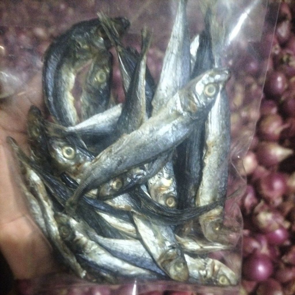 ikan dodok