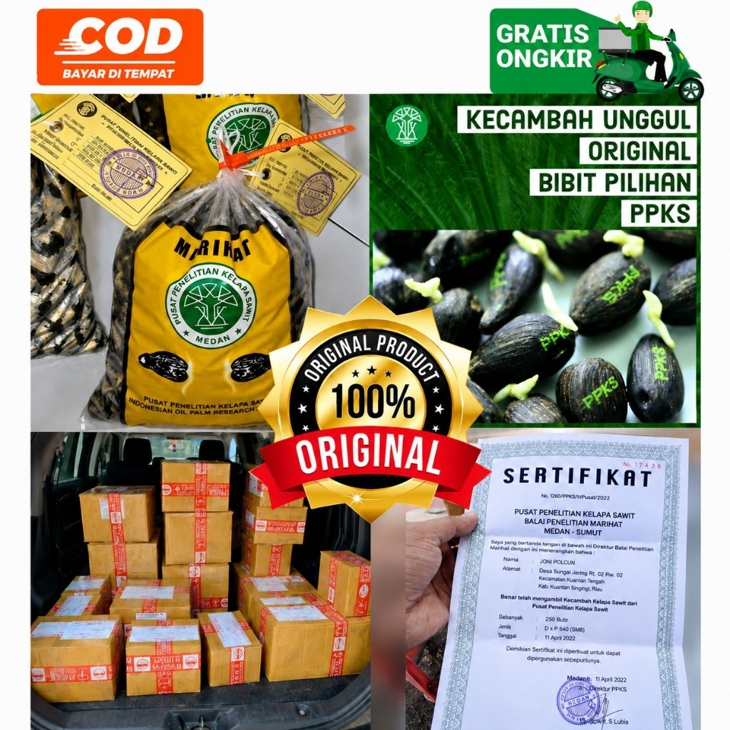 PPKS DXP MARIHAT UNGGUL DAPAT SERTIFIKAT