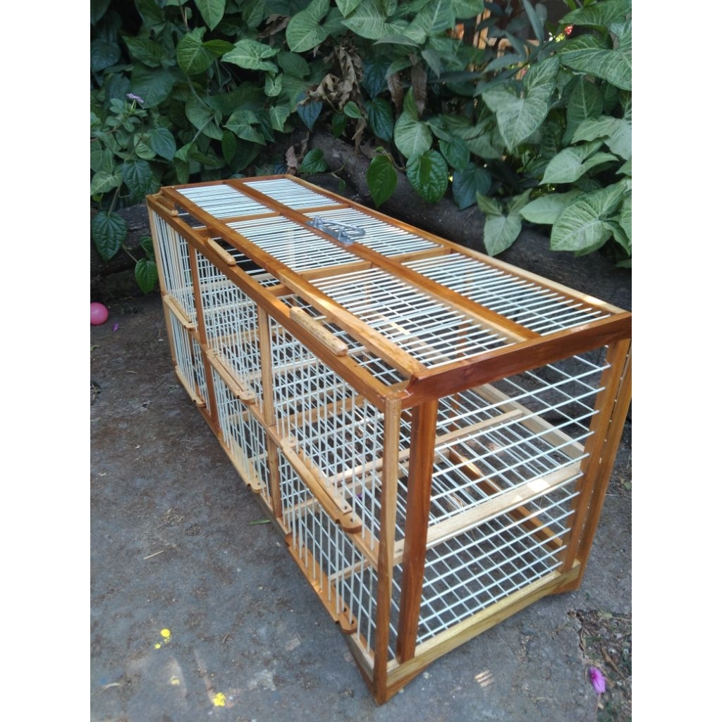 DONGDANG MERPATI 6 PINTU BAHAN JATI RUJI FIBER