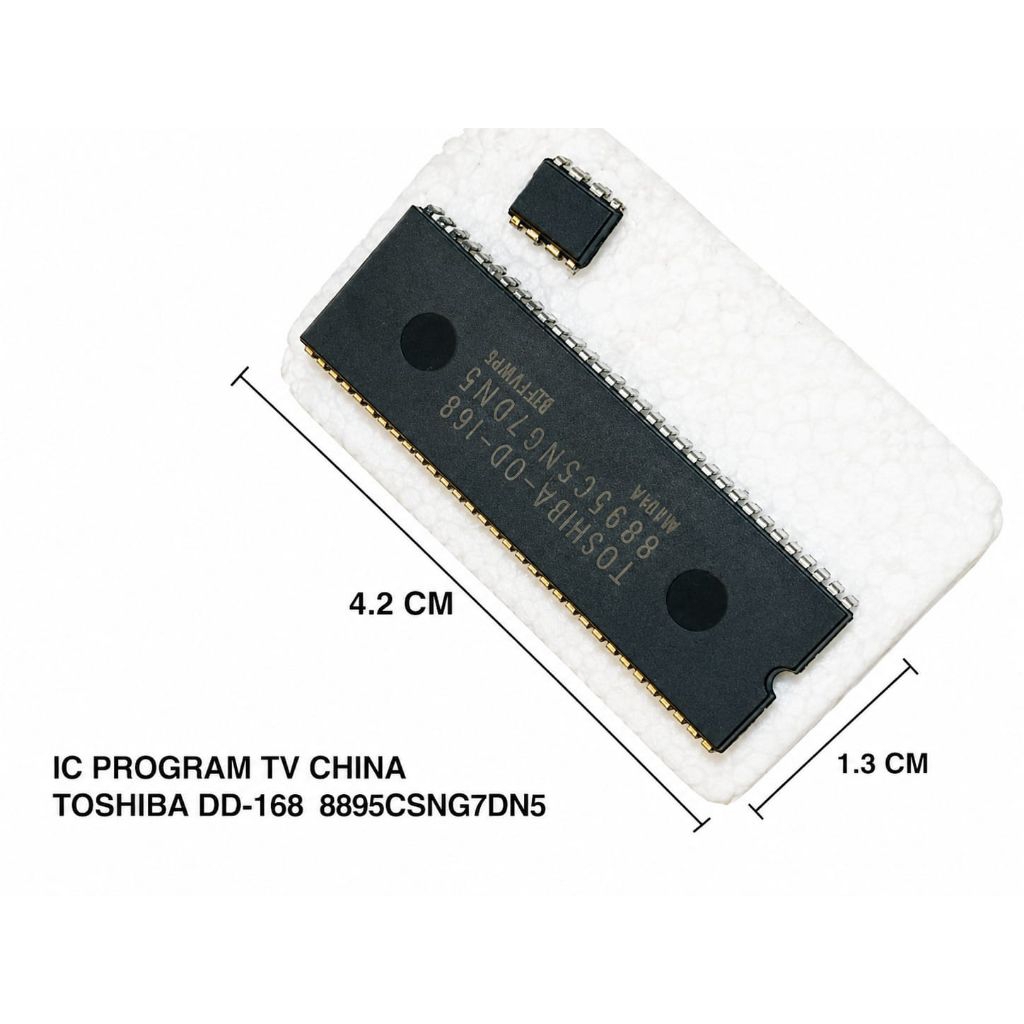 IC PROGRAM TV CHINA TOSHIBA DD-168 8895CSNG7DN5