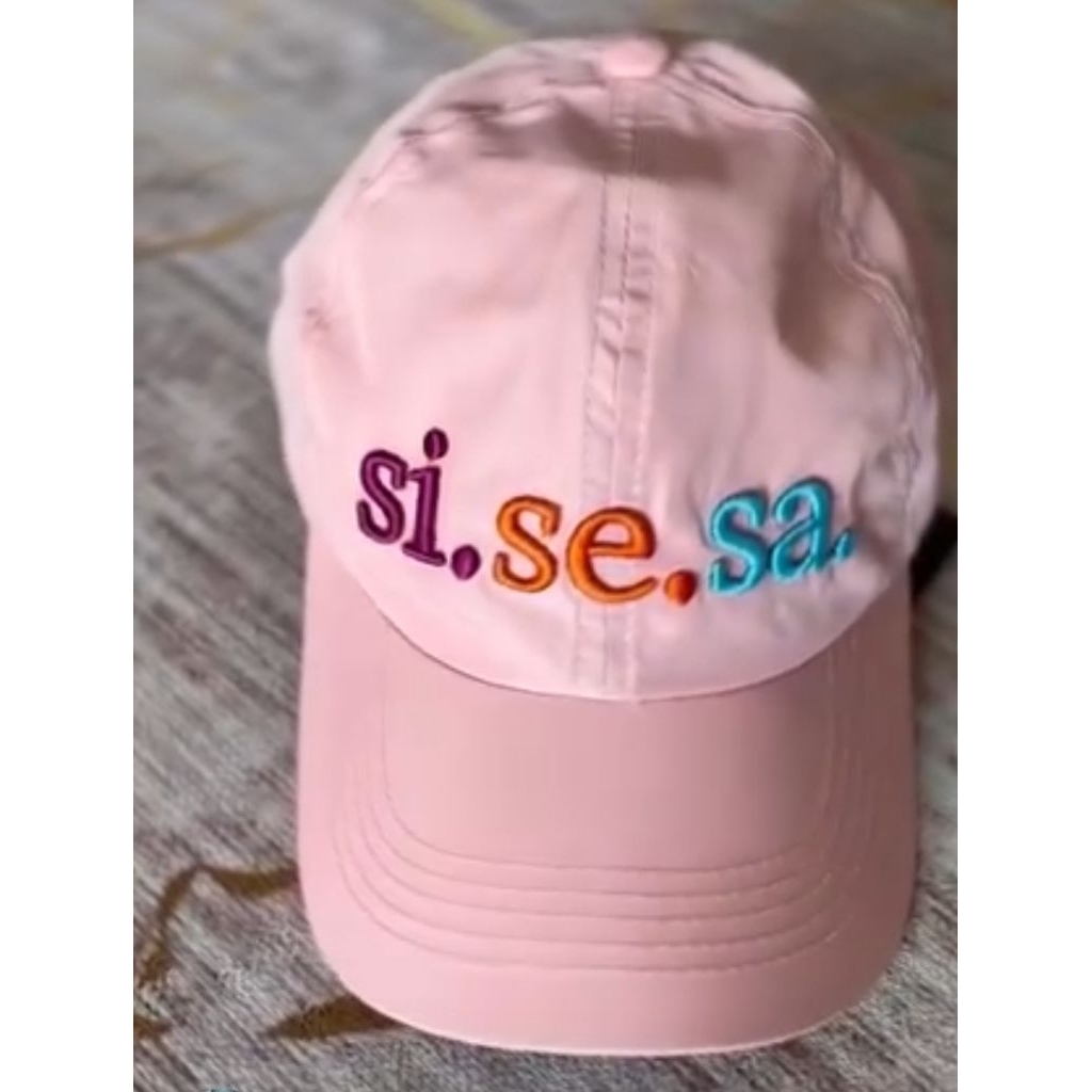Topi sisesa